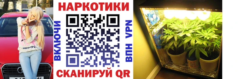 Наркотические вещества Евпатория Кокаин  Каннабис  СК  Псилоцибиновые грибы  МЕФ  Экстази  kraken маркетплейс  Гашиш 