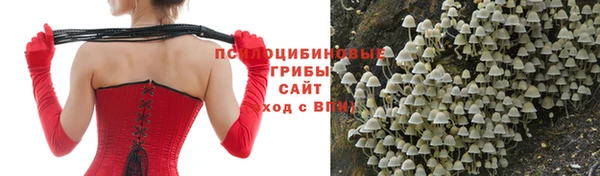 гидропоника Вязники