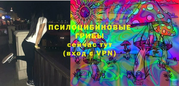 меф Вяземский