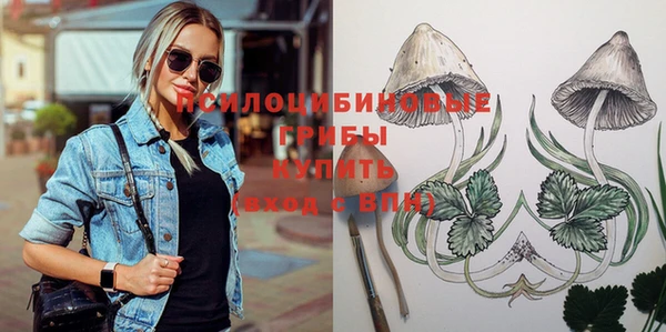 гидропоника Вязники