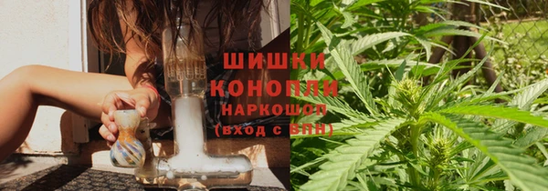 2c-b Горно-Алтайск