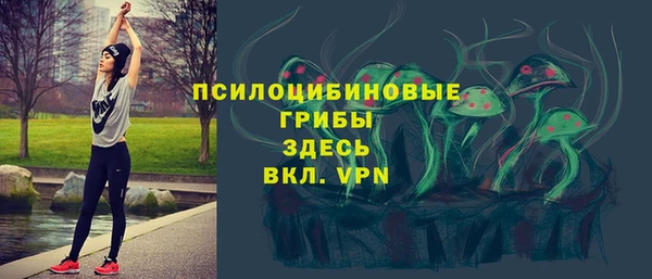 прущая мука Горняк